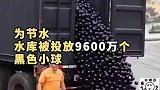 争议不断为节水，加州水库被投放9600万个黑色小球