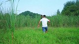 二哥做野味菜, 20多年, 没吃过了!