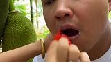 拍段子牺牲多大，看他嘴巴弄得都是讨厌的果酱！