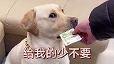 给少了我可是不要的