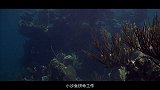 27、5部美人鱼电影连成一个故事【九筒封神榜】27