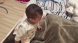 爸爸居然蒙被睡懒觉，小宝宝立马掀被叫爸爸起床