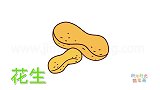蔬菜简笔画大全，画怎样画好看的花生简笔画
