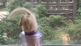 看我家猫咪厉害不