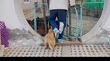 第一天来上学，很快就融入集体