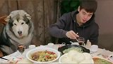 阿拉斯加犬做东请客，让大家放开了吃，它家里有矿