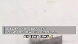 黑龙江一玉米地发现野生黑熊，村民：300多斤，想抓回去养