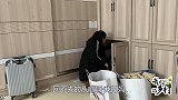 儿媳送条裙子给婆婆，婆婆穿上显年轻有气质，儿媳称赞婆婆漂亮