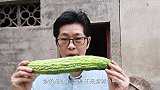 九九八十条小鱼配苦瓜炒，装盘开吃不停嘴，香喷喷真下饭