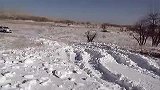 霸道耍雪