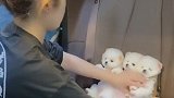妈妈带着去逛街狗子-我才不要和你们挤在后座呢人家要去副驾驶
