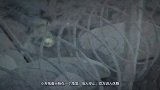 战事吃紧，女兵却在战场化妆，口红就是女人的钢枪！