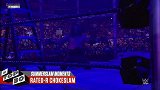 WWE-17年-夏季狂潮30大经典时刻 太子爷搏命高空坠落-专题