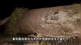 生活万象