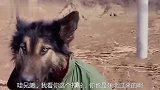 搞笑配音：这个包裹怕是不好过安检啊