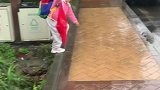 四川成都：4岁女孩绿化带捡到红旗，执意放进书包里保护