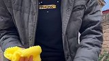 嫩哥没吃过火龙果？