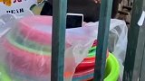 宇宙的尽头是烤地瓜 齐齐哈尔大学外大爷花式卖瓜  东北烤地瓜大爷的谐音梗