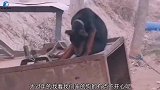 大哥大嫂你们可看见了 我可没还手啊