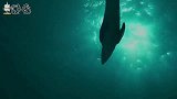 阿根廷发现巨型鱼类，是白垩纪最恐怖的鱼类之一，牙齿跟针那么尖