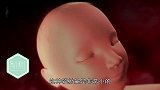 孕期玩手机没有辐射, 但这个行为孕妈不要有, 影响胎儿健康
