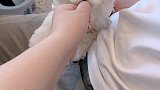 拍着拍着就迷糊了！