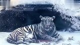 法甲-1314赛季-伊布广告三连发 冰雪岩浆雷电难阻兹拉坦-专题