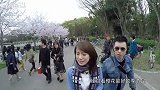 【日日煮】Norma在这里 - 同一樱树下