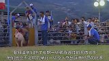 岛国人连猪都不放过，举办奇葩的骑猪比赛，能坚持三秒算你厉害
