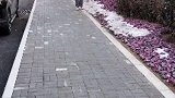 他到底走了没有？