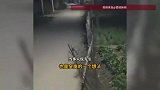 男子自费近3万元，为村里安装了50盏太阳能路灯，当事人回应