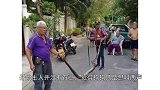 狗狗突然冲着墙壁狂叫，主人凿开墙后拉出一庞然大物！