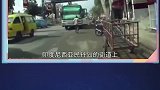 5个杰出的灵长类动物