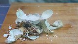 新年穿新衣，鹌鹑蛋穿上黄金铠甲，金丝缠蛋，酥脆口感，别有滋味