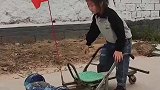 小女孩也太厉害了，居然自己组装出来一台拖车