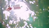 86岁婆婆第一次做饭，就给黄圣依包饺子，也太宠儿媳妇了！