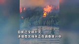 贵州221起森林火情全部扑灭，农民大哥放声大哭，家被烧没猪也烧死