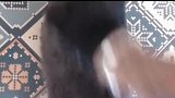 谁知道说的啥助你上热门