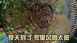 家里的风扇太脏，我来教你如何清洁，真的是学到了！