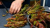 自从香椿学会这样做，天天吃都不腻，比吃肉还香，上桌瞬间被扫光