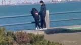 你这是凭实力单身呀，兄弟，要不让我来