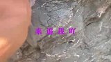 搞笑视频：怎么不追我