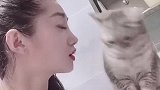 你们家的猫咪也会这样子吗？