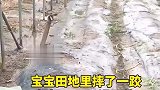 遇事不要慌，先拿手机拍照发个朋友圈