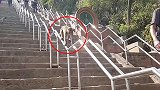 厉害！尼泊尔寺庙猴子滑栏杆下楼梯，引路人称赞连连