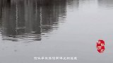 河南水库下藏千年古墓，出土一物改写历史，如今被禁止出国展览
