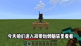我的世界：今天进入凋零骷髅的大脑