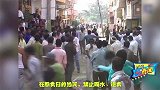 全球最危险的仪式，群牛踩踏，三哥用这种方式祈求神明保佑！