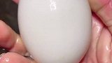 抓鸭蛋