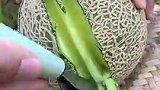 10个人里有5个肯定没吃过